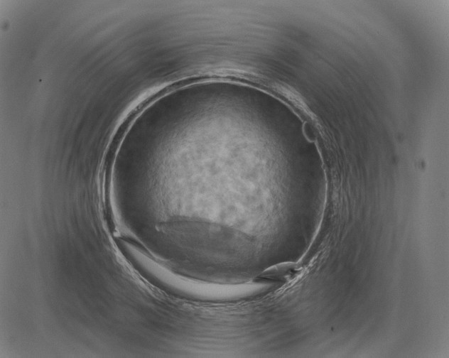 X0000083041032200702161701