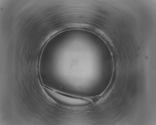 X0000083041033200702161701