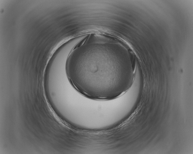 X0000083041034200702161701