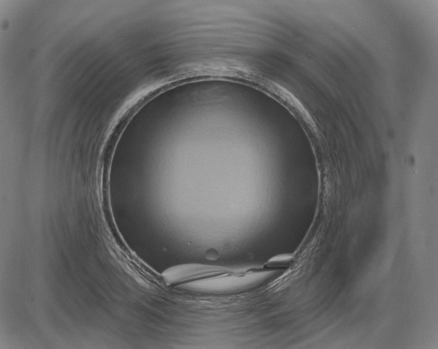 X0000083041035200702161701