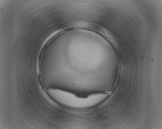 X0000083041036200702161701