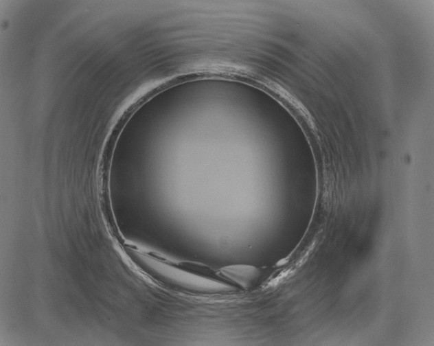 X0000083041037200702161701