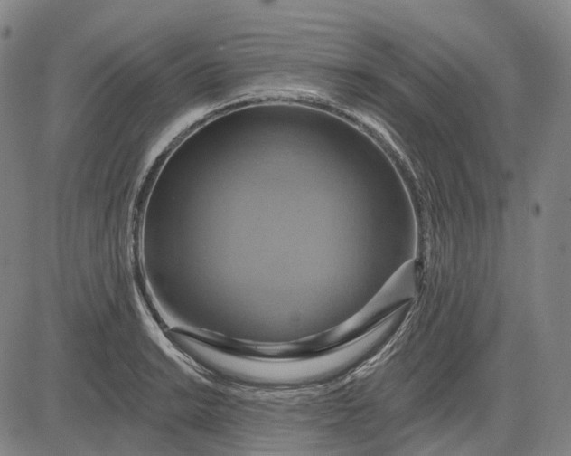 X0000083041038200702161701