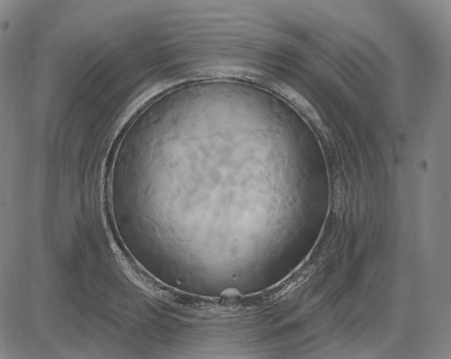 X0000083041039200702161701