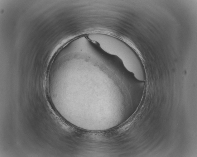 X0000083041040200702161701