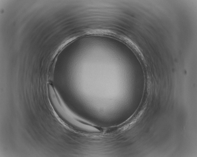 X0000083041041200702161701