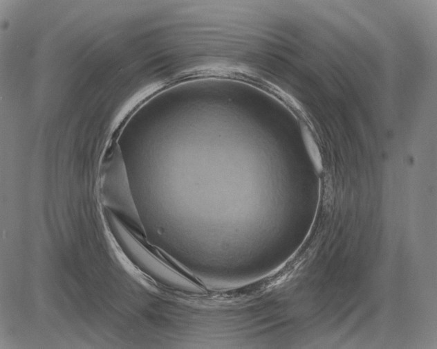 X0000083041042200702161701