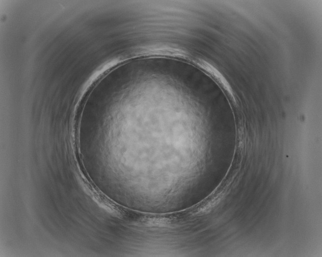 X0000083041043200702161701