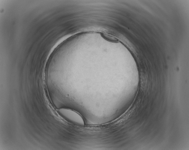 X0000083041044200702161701