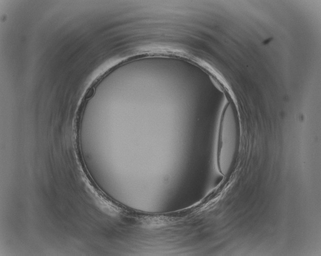 X0000083041045200702161701