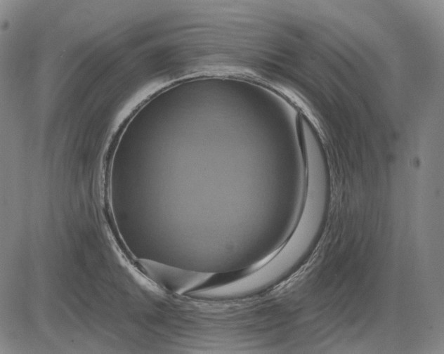 X0000083041046200702161701