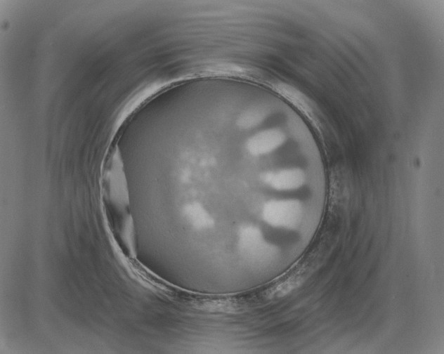 X0000083041047200702161701