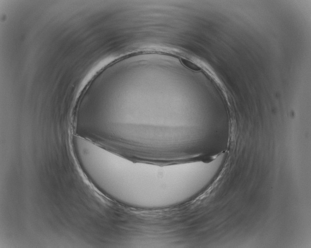 X0000083041048200702161701