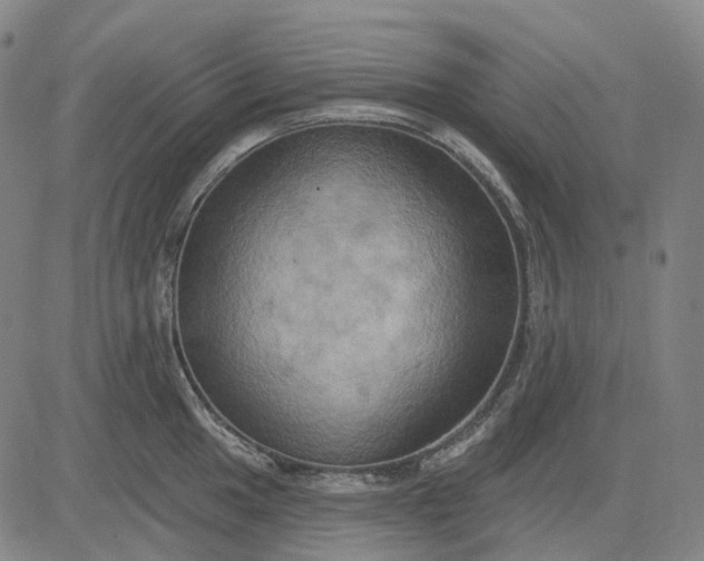 X0000083041049200702161701