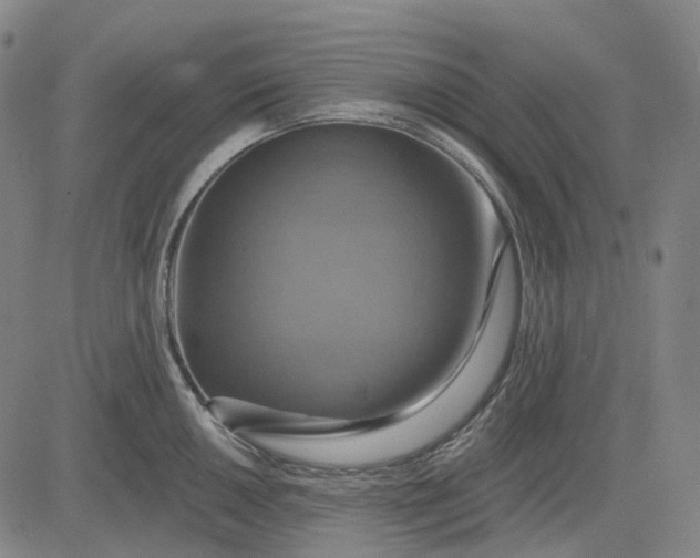 X0000083041050200702161701