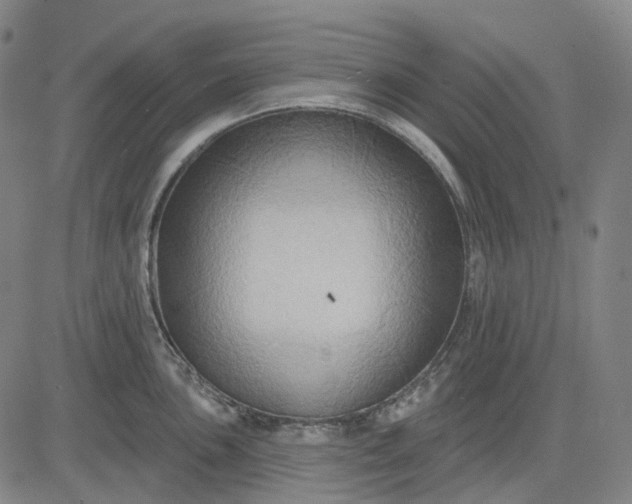 X0000083041051200702161701