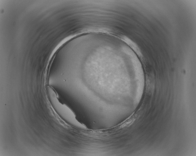 X0000083041052200702161701