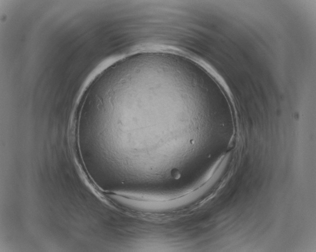 X0000083041053200702161701