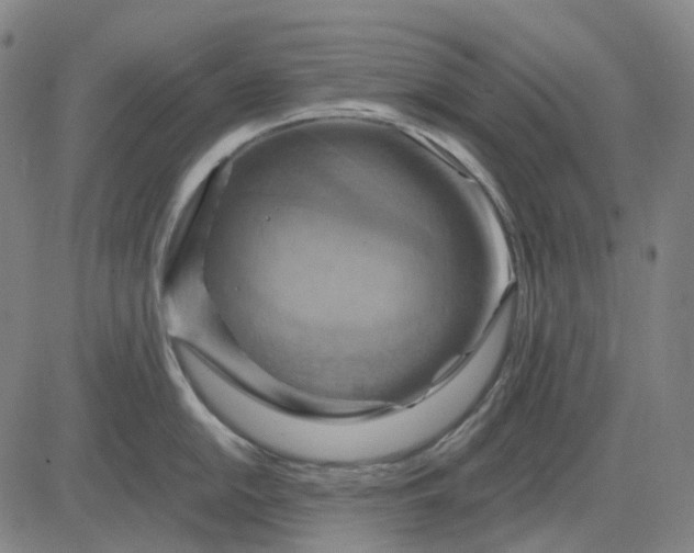 X0000083041054200702161701