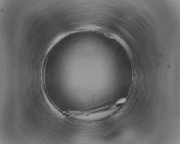 X0000083041055200702161701