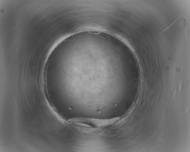 X0000083041056200702161701