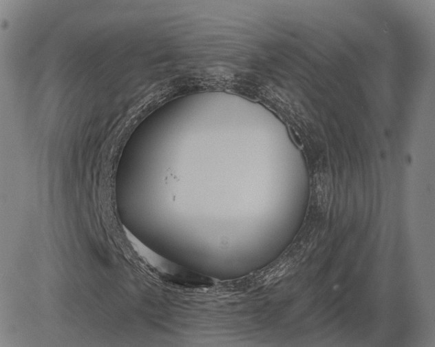 X0000083041057200702161701