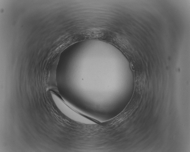 X0000083041058200702161701