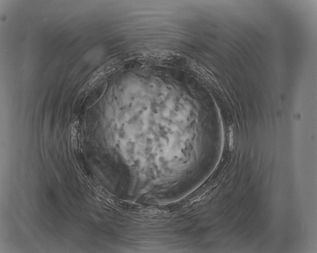 X0000083041059200702161701