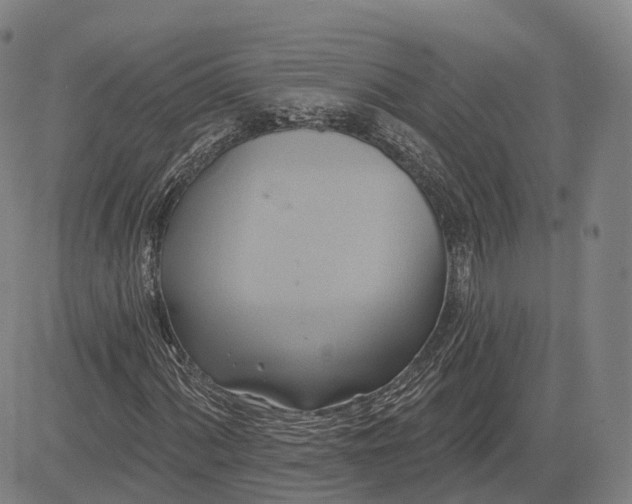 X0000083041060200702161701