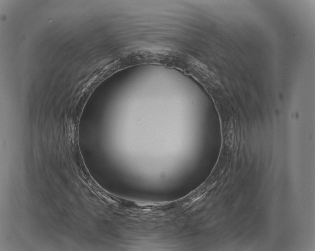 X0000083041061200702161701