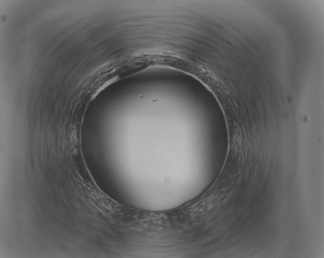 X0000083041062200702161701