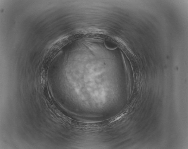 X0000083041063200702161701