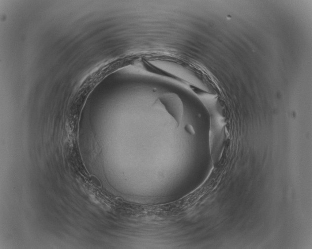 X0000083041064200702161701