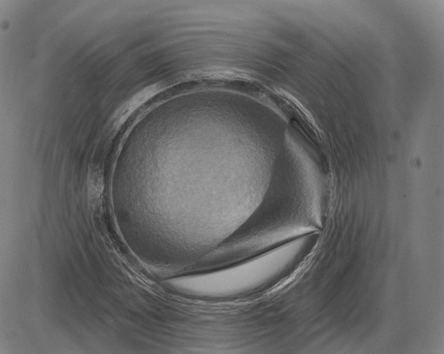 X0000083041065200702161701