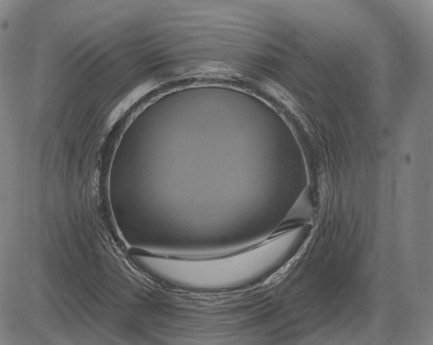 X0000083041066200702161700