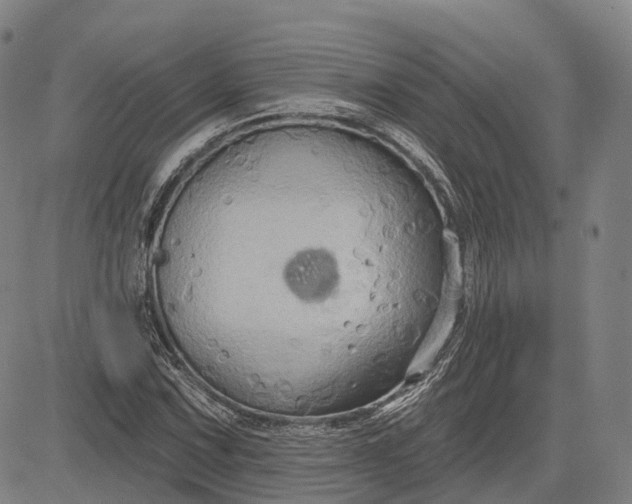 X0000083041067200702161700