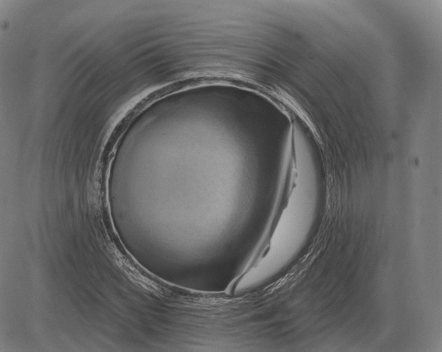 X0000083041068200702161700