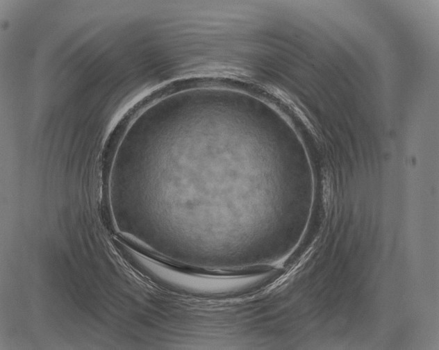 X0000083041069200702161700