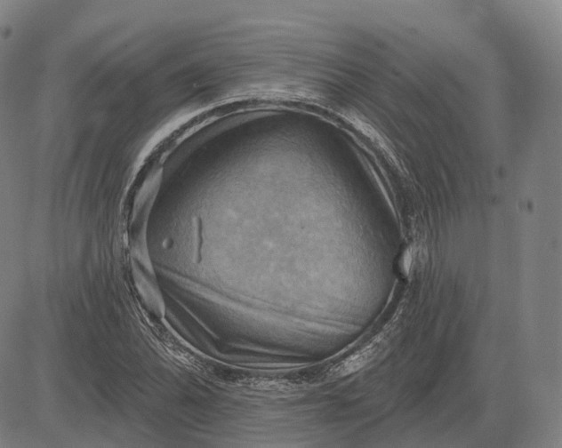 X0000083041070200702161700