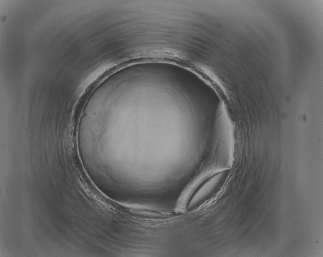 X0000083041071200702161700