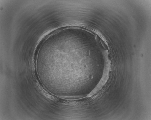 X0000083041072200702161700