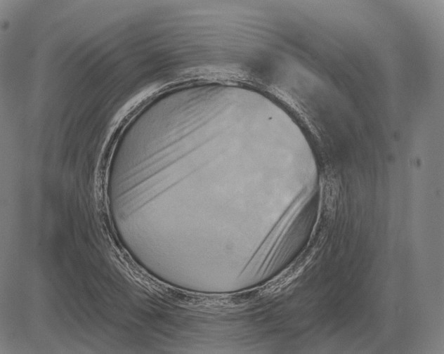 X0000083041074200702161700