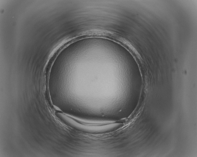 X0000083041075200702161700