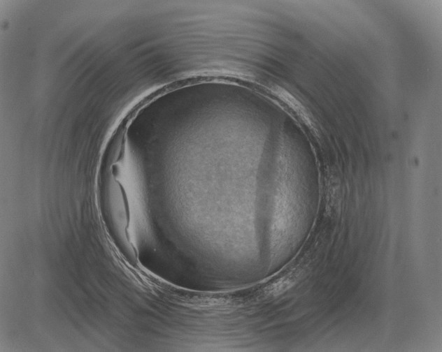 X0000083041076200702161700