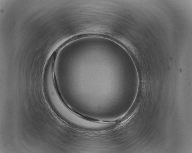 X0000083041077200702161700