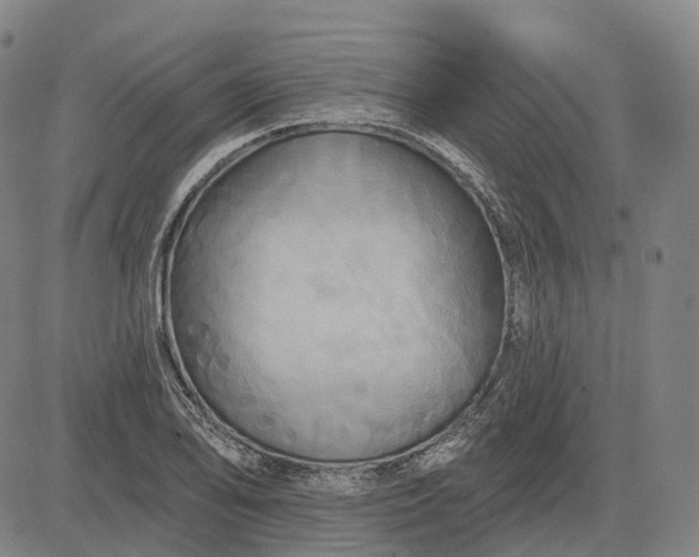 X0000083041078200702161700