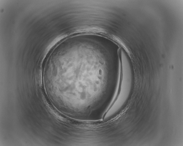 X0000083041079200702161700