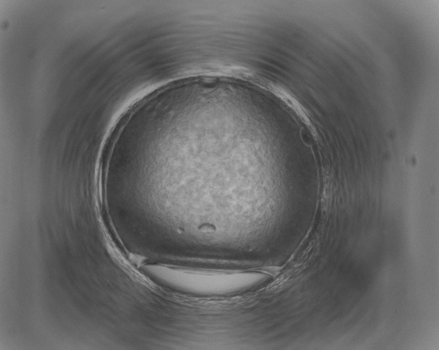 X0000083041080200702161700