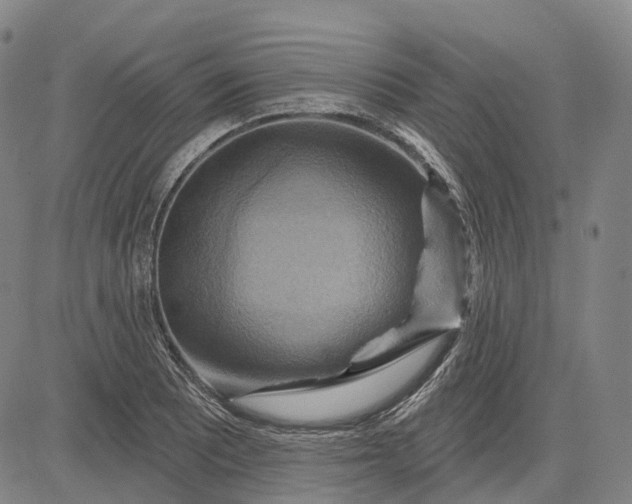 X0000083041081200702161700