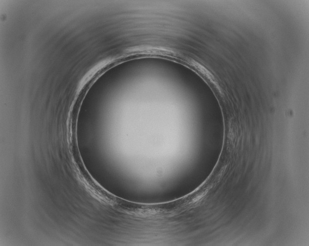 X0000083041082200702161700